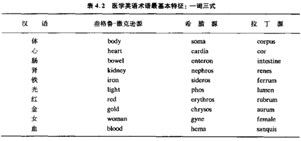 術語詞源a.jpg