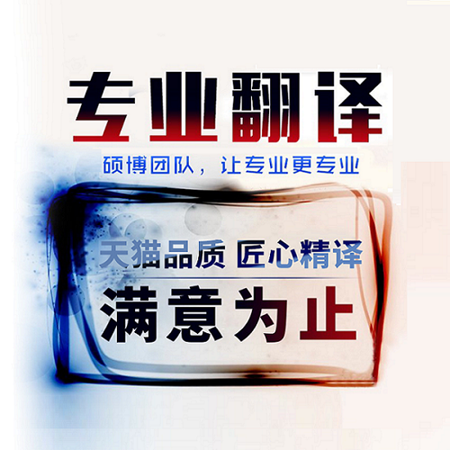 英語翻譯專業(yè)服務公司英文文獻PDF合同