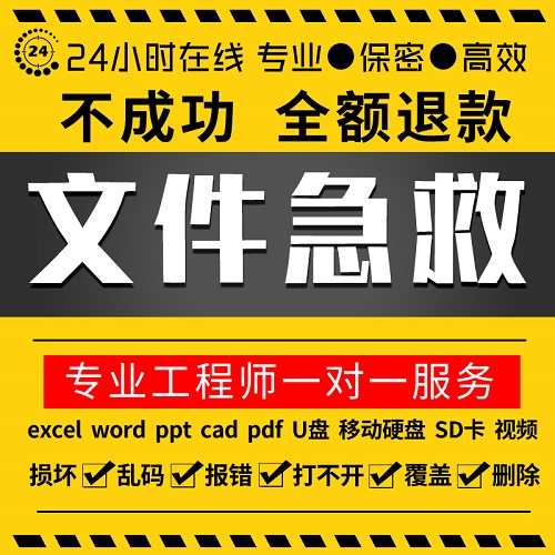 文件修复损坏 U盘乱码远程数据恢复