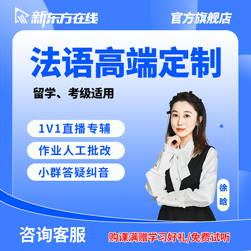 新东方法语课程 A2/B2网课 一对一辅导