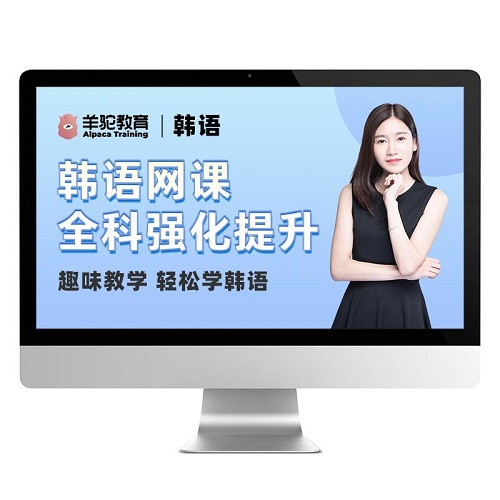 羊驼韩语网课入门到topik3-4级 一对一课程