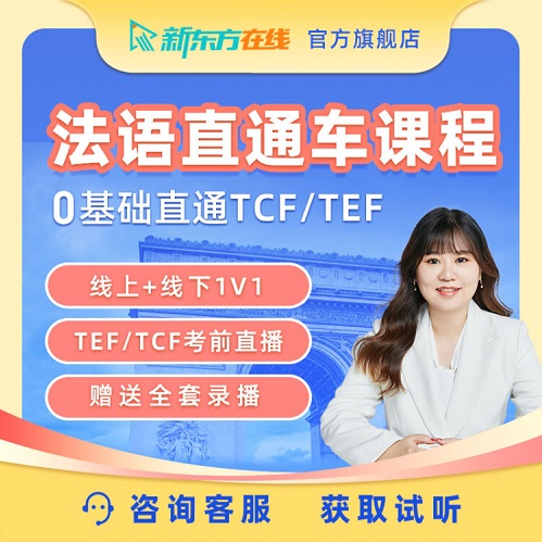 DELF/TCF/TEF留學(xué)考試線上直播網(wǎng)課 一對(duì)一輔導(dǎo)