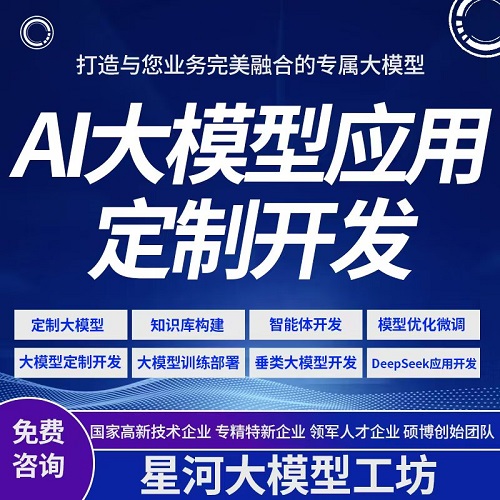 AI大模型 人工智能软件 定制大模型