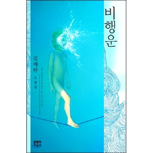 韩文原版 轨迹-你的夏天还好吗？金爱烂 비행운